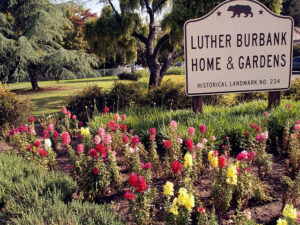Luther Burbank Home and Gardens